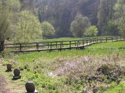 Walkway across the wild lake at Wakehurst Place, East Sussex, near Ardingly Wallpaper