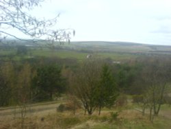 View of Rivington from the Pigeon Tower Wallpaper