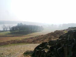 Bradgate Park, Newtown Linford, Leicestershire Wallpaper