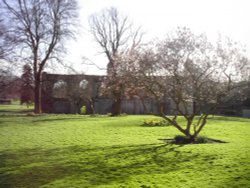 Glastonbury abbey early spring Wallpaper