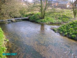 River Ryton on its way out of Worksop, Notts Wallpaper