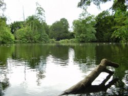 The lake at Elvaston Castle, Derbyshire. Wallpaper