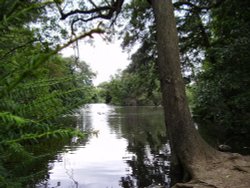 Lake at Elvaston Castle, Derbyshire. Wallpaper