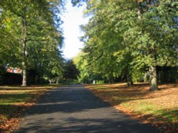 Nottingham Arboretum Wallpaper