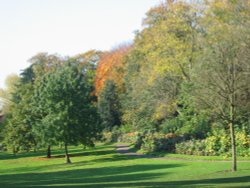 Nottingham Arboretum Wallpaper