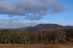 Looking back north to the Malvern Hills from the obelisk Wallpaper