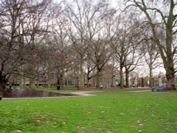 Green Park, at Buckingham Palace. Wallpaper