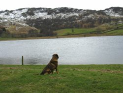 The Lake District (near Keswick)