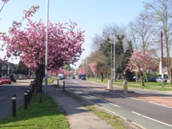 Long Lane (Ickenham) Wallpaper