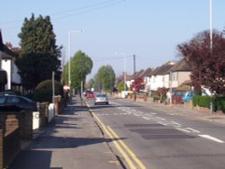 Elm Avenue - Eastcote Wallpaper