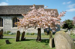 St Nicholas Church, Great Bookham, Surrey Wallpaper