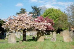 St Nicholas Church. Great Bookham, Surrey Wallpaper