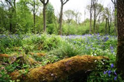 Around and about in Barwell, Leicestershire.
Taken with canon eos 350d Wallpaper