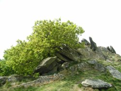 Altar Stones, Markfield, Leics Wallpaper