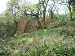 The Outwoods, Nanpantan, Leicestershire Wallpaper