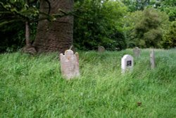 Pet cemetary in the grounds of Beaulieu Palace House,Beaulieu,Hampshire Wallpaper