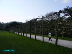 A picture of Rufford Abbey Wallpaper