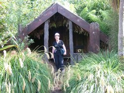 A Kiwi in her Garden Wallpaper