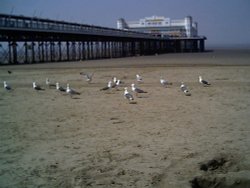 weston pier from the beach Wallpaper