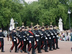 Changing of the guard in London Wallpaper