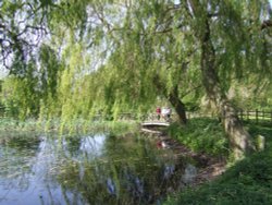 The village pond, Irby, Lincolnshire Wallpaper