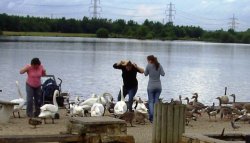 Rother Valley Country Park, South Yorkshire Wallpaper