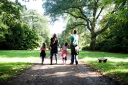 Westonbirt Arboretum, Westonbirt, Gloucestershire Wallpaper