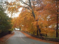 Whitworth, Lancashire Wallpaper