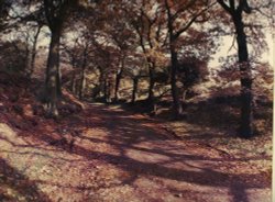 Country walk, Rivington Wallpaper