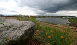 Sturt Pond, Milford on Sea Wallpaper