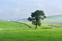 Fields near Wolfescotedale, Derbyshire Wallpaper