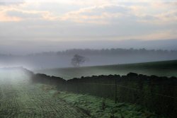 Early Morning, Whinfell Forest, Cumbria Wallpaper