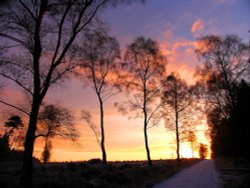 Cannock Chase Country Park, Staffordshire Wallpaper