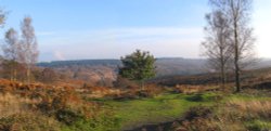 Cannock Chase Country Park, Staffordshire Wallpaper