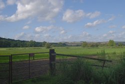 West Sussex Countryside Wallpaper