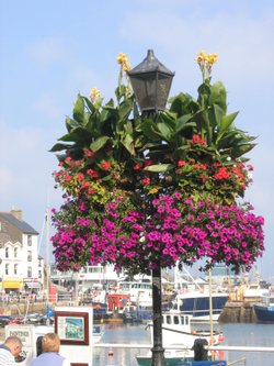 Brixham Harbour, Devon