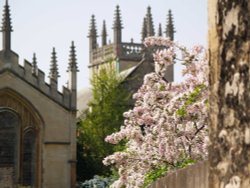 At the back of All Souls College, Oxford University Wallpaper