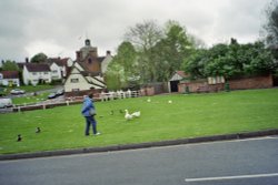 Finchingfield, Essex Wallpaper