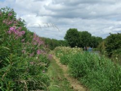 Ashby Canal, Stoke Golding Wallpaper