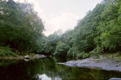 the river Dart Wallpaper