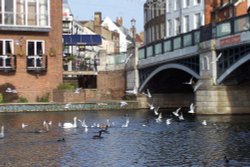 Windsor Bridge, Berkshire Wallpaper