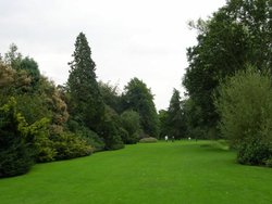 Anglesey Abbey Gardens, Lode, Cambridgeshire Wallpaper