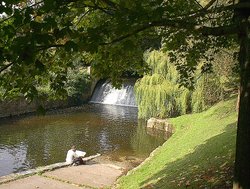 The Byes, Sidmouth, Devon