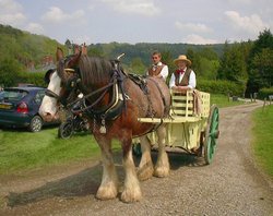 Victorian transport