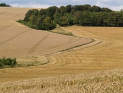 Lambourn, Berkshire Wallpaper