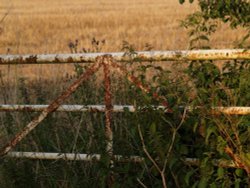 Last rays of the sun, near Steeple Claydon