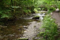 Lydford Gorge Wallpaper