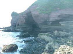 Torquay beach, Devon Wallpaper