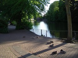 Minster Pool. Lichfield Wallpaper