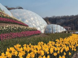 The Eden Project, Bodelva, Cornwall Wallpaper